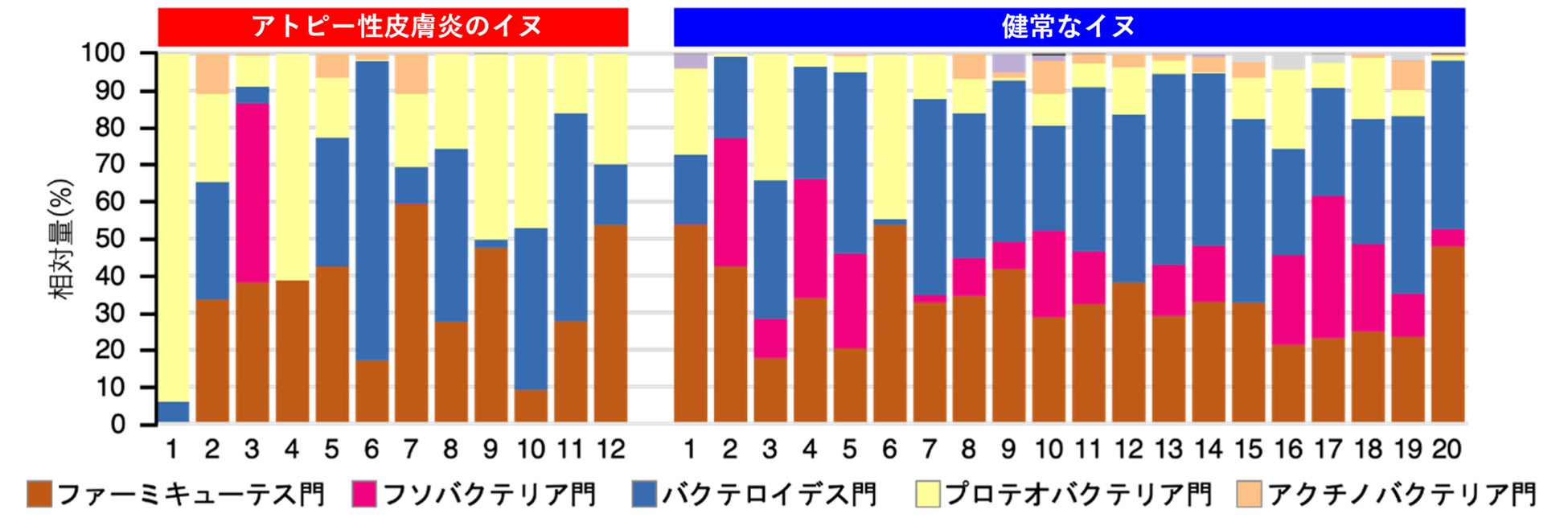 イヌのアトピー性皮膚炎における腸内細菌叢の変化と糞便移植の有効性を明らかにのサブ画像1_▲アトピー性皮膚炎のイヌと健常なイヌの腸内細菌叢の比較（門レベル）