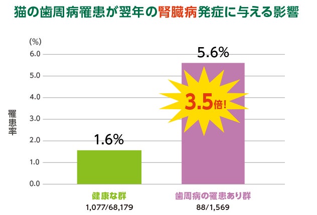 アニコムと大阪大学、アース製薬が共同研究を開始のサブ画像5_▲N＝69,748（0～22歳の猫　全品種）