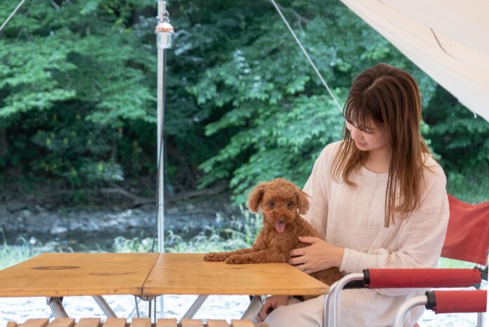 ときたまひみつきちCOMORIVER、わんちゃんが主役のグランピングステイ。川沿いで愛犬と一緒に泊まれる「ドッググランピングテント」の提供を開始のメイン画像