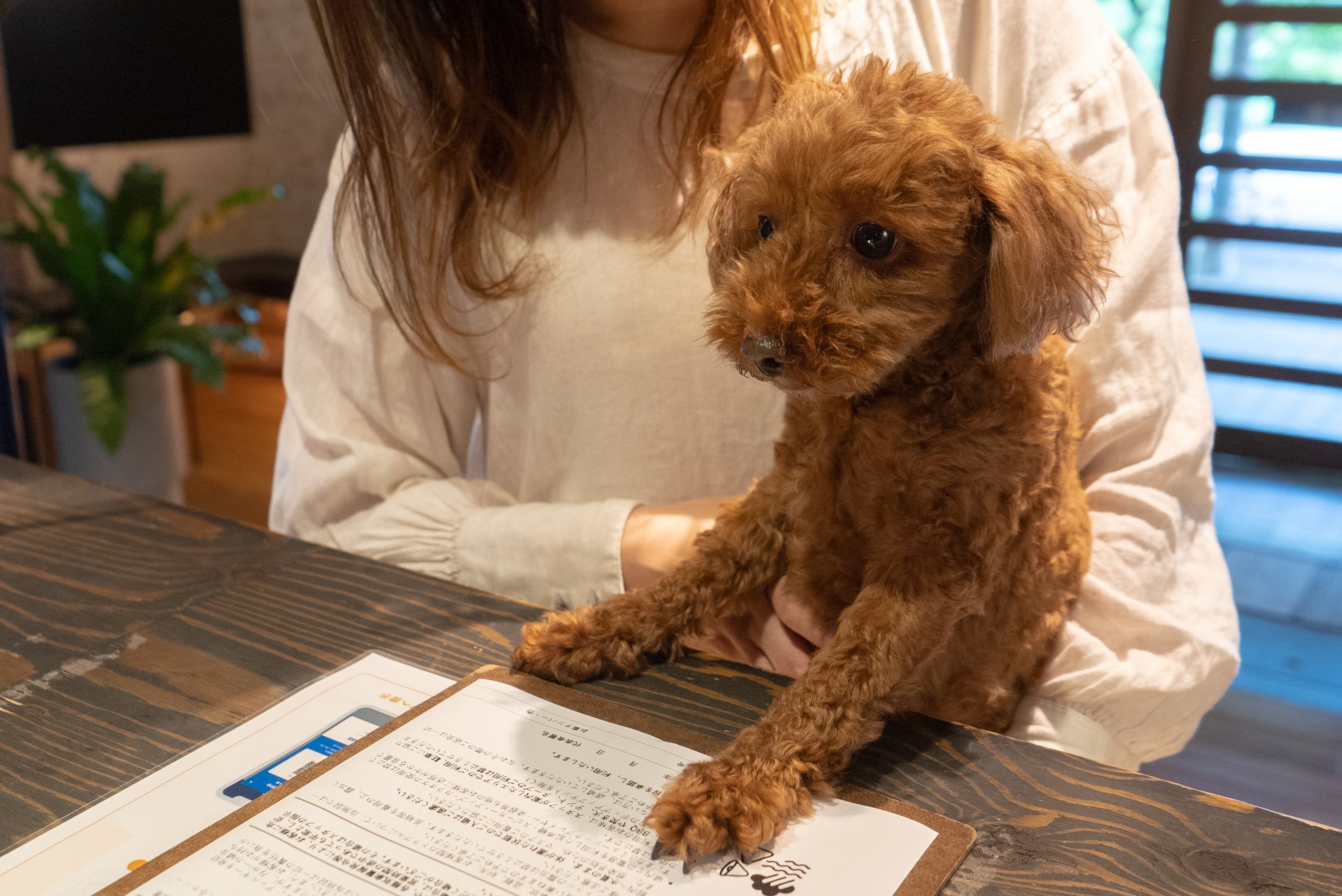 ときたまひみつきちCOMORIVER、わんちゃんが主役のグランピングステイ。川沿いで愛犬と一緒に泊まれる「ドッググランピングテント」の提供を開始のサブ画像2