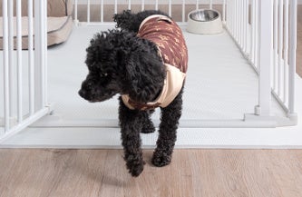 「お部屋の愛犬・シニア犬に、より安全な環境を！」段差が小さいバリアフリーペットサークルを発売開始のサブ画像3