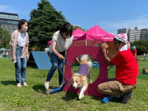 ワンちゃんが主役のビッグフェス大開催！のサブ画像3