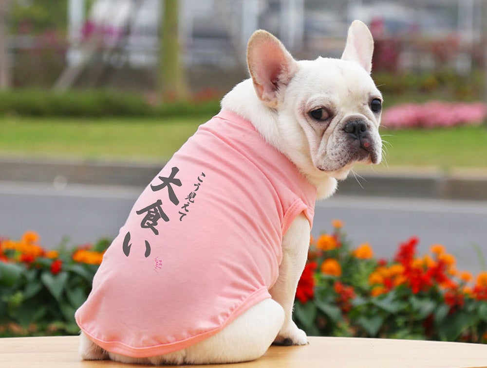 【アンバサダー犬大募集！】PET CRAFT（ペットクラフト）　おもしろTシャツのアンバサダー犬を大募集！今回は小型ワンちゃんに限ります！のサブ画像2