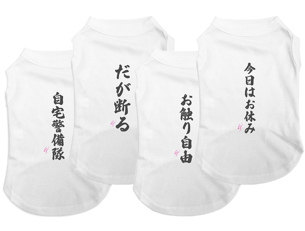 【アンバサダー犬大募集！】PET CRAFT（ペットクラフト）　おもしろTシャツのアンバサダー犬を大募集！今回は小型ワンちゃんに限ります！のサブ画像3