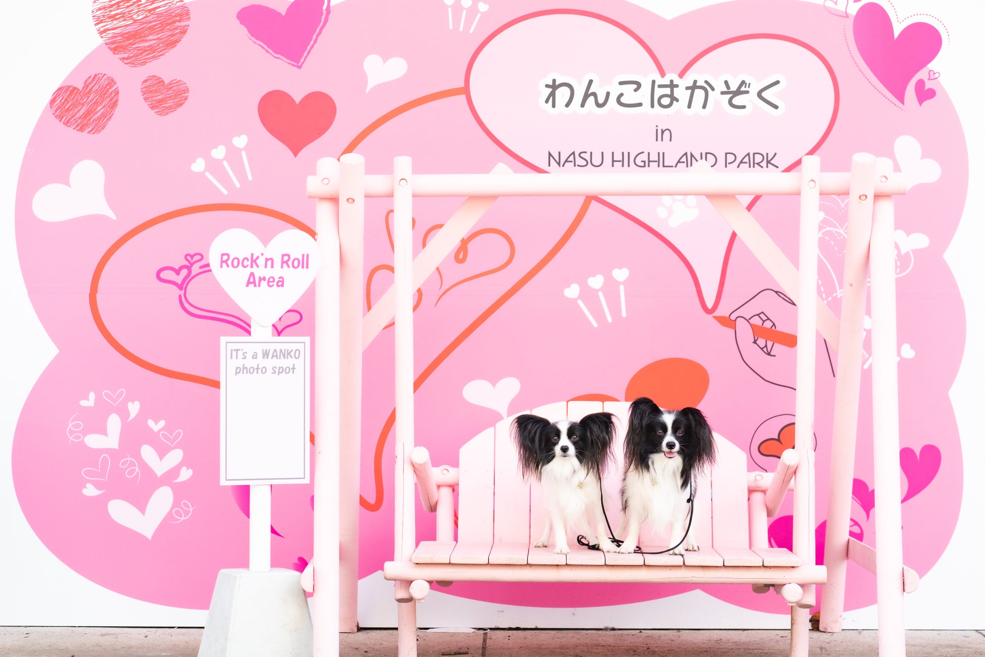 那須ハイランドパークでわんわん交流会開催のお知らせ！のサブ画像2