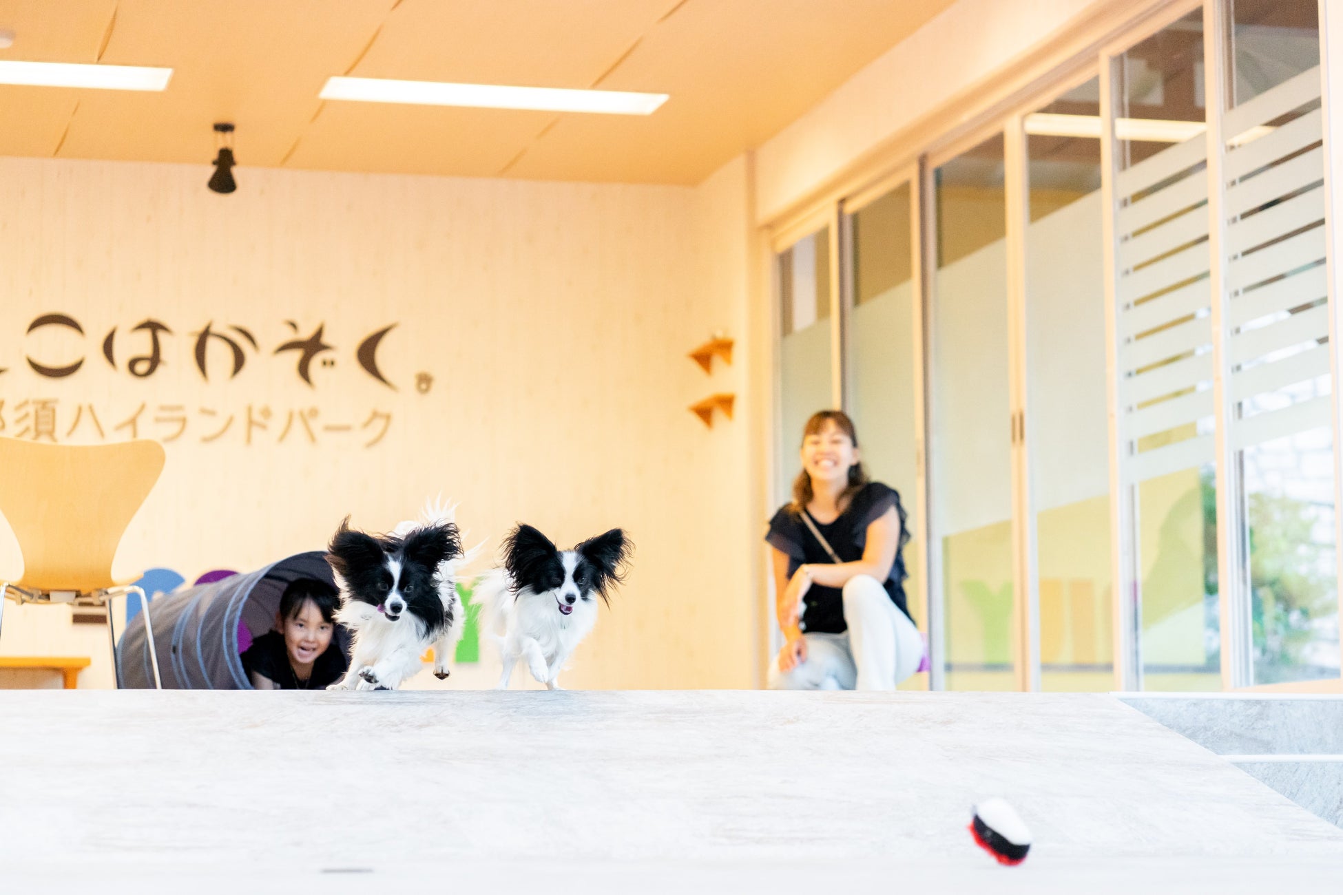 那須ハイランドパークでわんわん交流会開催のお知らせ！のサブ画像3