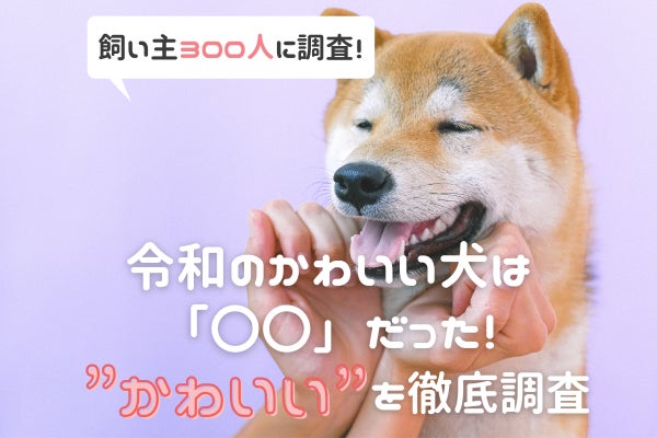 令和のかわいい犬は「○○」！？犬の一番かわいいと思うところは「性格」が最多【犬好きさん300人アンケート】のサブ画像1