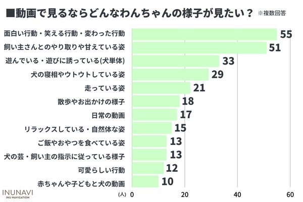 令和のかわいい犬は「○○」！？犬の一番かわいいと思うところは「性格」が最多【犬好きさん300人アンケート】のサブ画像10