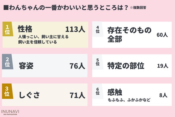 令和のかわいい犬は「○○」！？犬の一番かわいいと思うところは「性格」が最多【犬好きさん300人アンケート】のサブ画像2