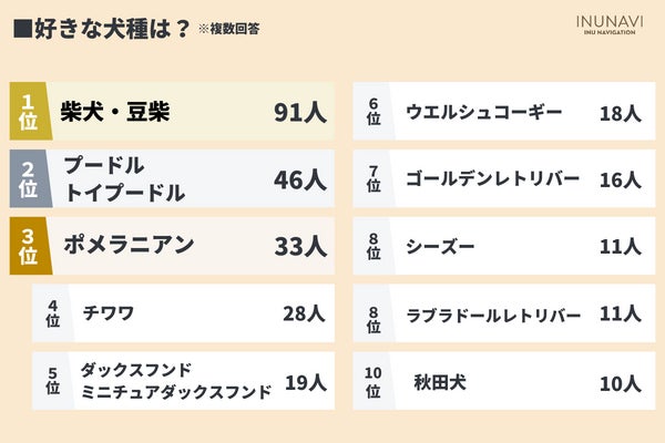 令和のかわいい犬は「○○」！？犬の一番かわいいと思うところは「性格」が最多【犬好きさん300人アンケート】のサブ画像4