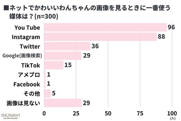 令和のかわいい犬は「○○」！？犬の一番かわいいと思うところは「性格」が最多【犬好きさん300人アンケート】のサブ画像8