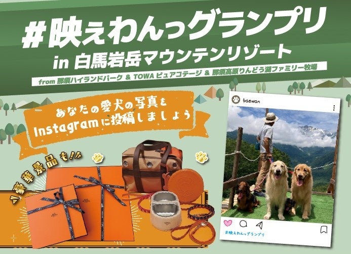 ペットと一緒に大自然を楽しめる「⽩⾺岩岳マウンテンリゾート」　フォトコンテスト「#映えわんっグランプリ」を7月1日（土）より開催のサブ画像1