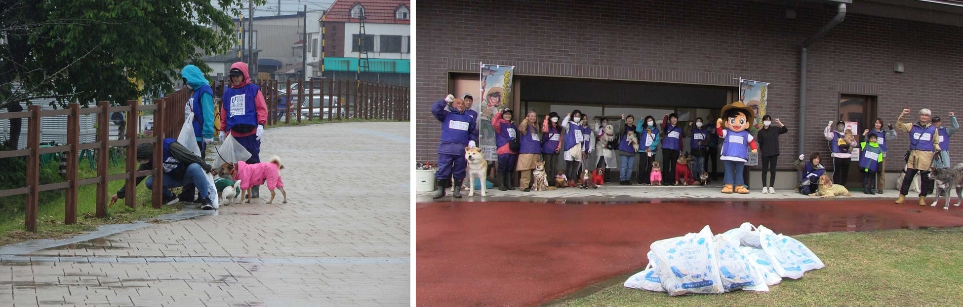 あきたの海ごみゼロを目指す新習慣　犬の散歩でごみ拾いキャンペーンIN大館　第3回秋田犬と一緒に清掃活動を実施しました！のサブ画像2