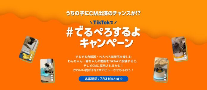 【うちの子にCM出演のチャンスが！？】可愛いわんちゃん・猫ちゃんの動画を撮って投稿！ドギーマンのCMに出演できるTikTokキャンペーン実施中！のメイン画像