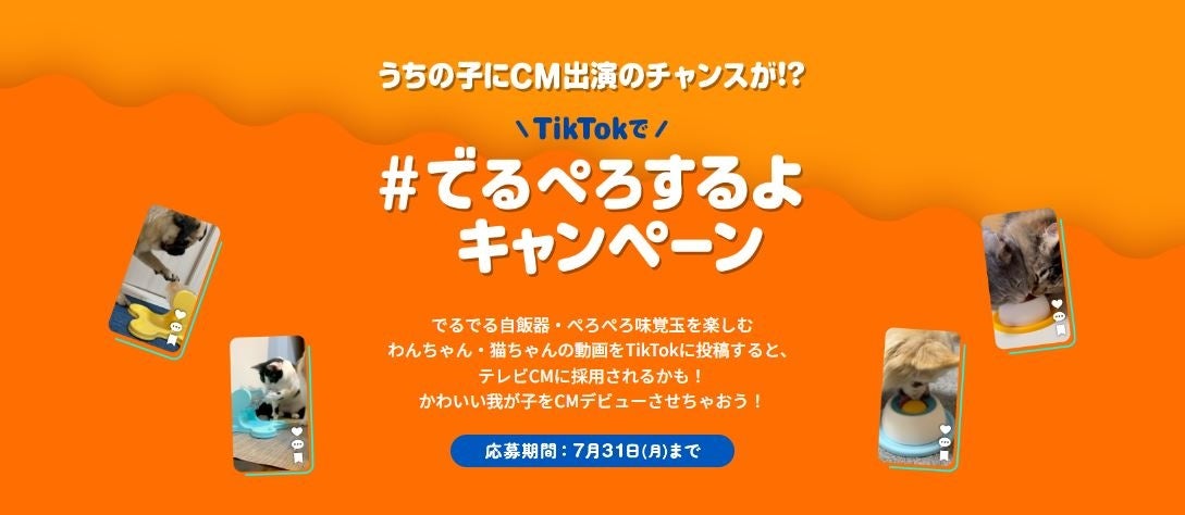 【うちの子にCM出演のチャンスが！？】可愛いわんちゃん・猫ちゃんの動画を撮って投稿！ドギーマンのCMに出演できるTikTokキャンペーン実施中！のサブ画像1