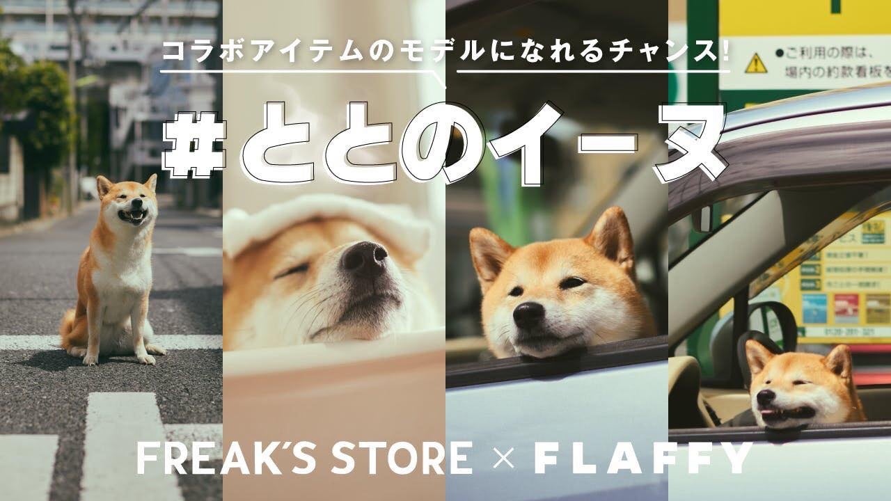 【FLAFFY×FREAK'S STORE】コラボ商品を企画。コラボアイテムの『ととのイーヌ』モデルを募集開始のサブ画像1
