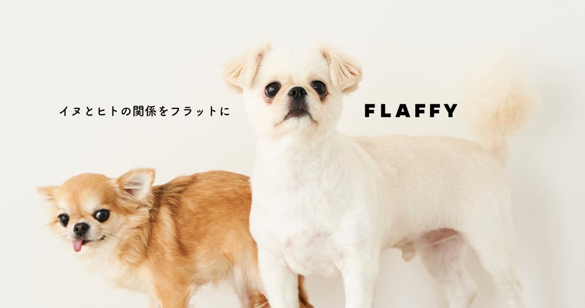 【FLAFFY×FREAK'S STORE】コラボ商品を企画。コラボアイテムの『ととのイーヌ』モデルを募集開始のサブ画像6