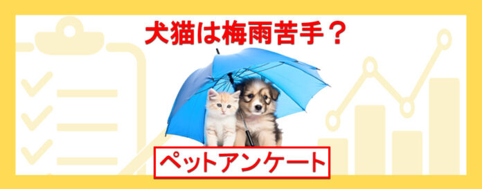 犬や猫は梅雨の湿度が苦手？ペットのためにはどんな梅雨対策をすればいいの？『ペット保険比較のピクシー』のメイン画像