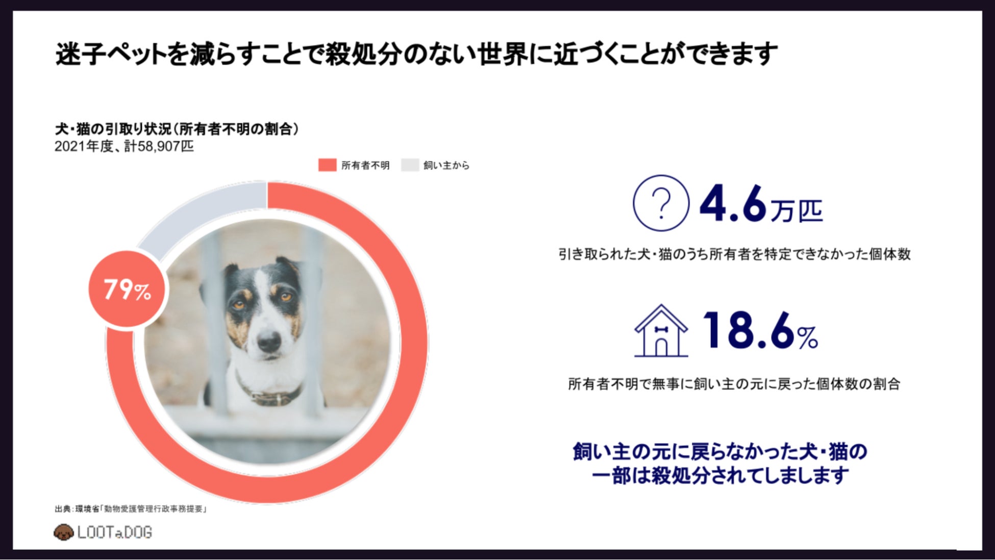 デジタルペットゲーム『LOOTaDOG』を運営するLehmanSoftと『Scamee! for dog』を運営する株式会社プライムページによる第2回コラボキャンペーン開催のお知らせのサブ画像3