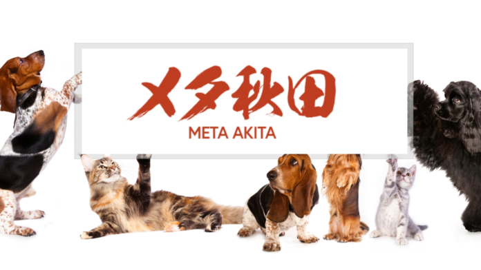 LOOTaDOG、「秋田犬NFT 水害復興支援基金」を設立した株式会社Meta Akitaへ寄付を行わせていただくことをお知らせいたしますのメイン画像