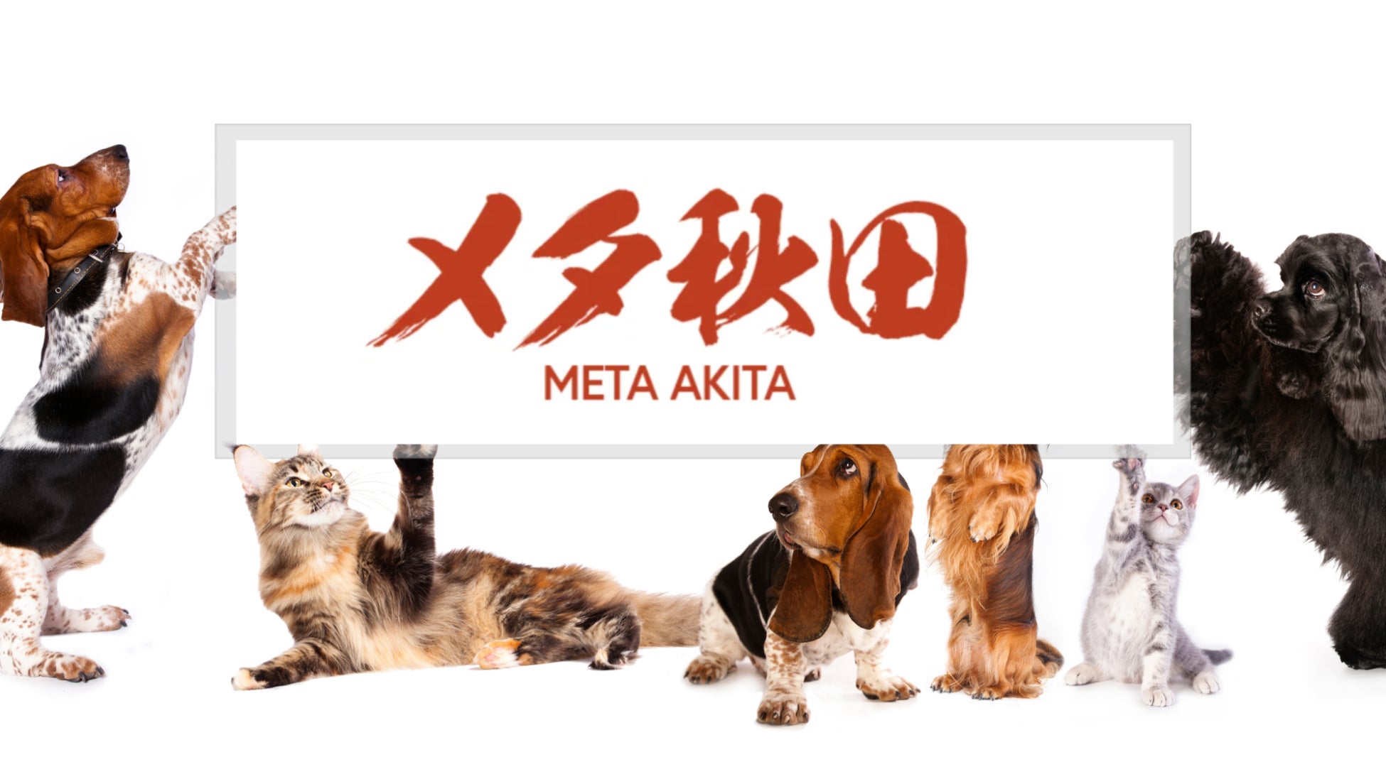 LOOTaDOG、「秋田犬NFT 水害復興支援基金」を設立した株式会社Meta Akitaへ寄付を行わせていただくことをお知らせいたしますのサブ画像1