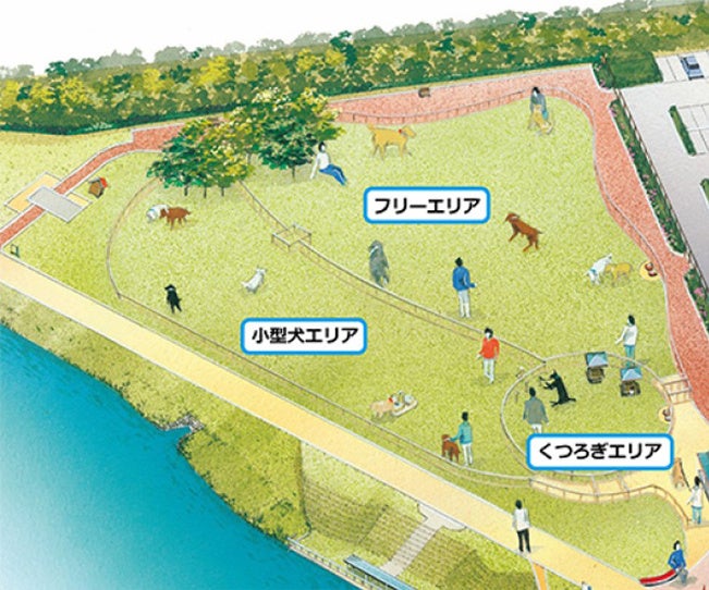 【泊まれる公園 INN THE PARK 福岡】夏休みはペットとうみなかへ！ドギーSUPクルージング＆ドッグフレンドリーな宿泊プランのサブ画像6_2022年3月にリニューアルオープンしたドッグラン。敷地面積が広くなりました！