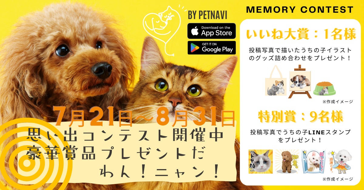 犬猫健康アプリの「ペトナビ」が、愛犬愛猫と共に楽しむ、美容イベント【うちの子と。】を開催！女優 谷 花音さんと、愛猫3匹がお揃い衣装で写真撮影に臨み、「素敵な思い出になりました」と笑顔を見せた。のサブ画像12