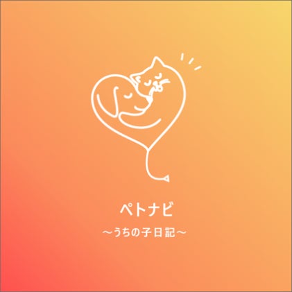 犬猫健康アプリの「ペトナビ」が、愛犬愛猫と共に楽しむ、美容イベント【うちの子と。】を開催！女優 谷 花音さんと、愛猫3匹がお揃い衣装で写真撮影に臨み、「素敵な思い出になりました」と笑顔を見せた。のサブ画像14