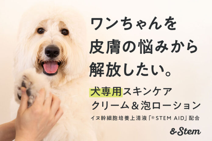 イヌ幹細胞上清液配合「＆Stem」犬専用スキンケアクリーム ＆ 泡ローション　クラウドファンディングCAMPFIREにてプロジェクト展開のメイン画像