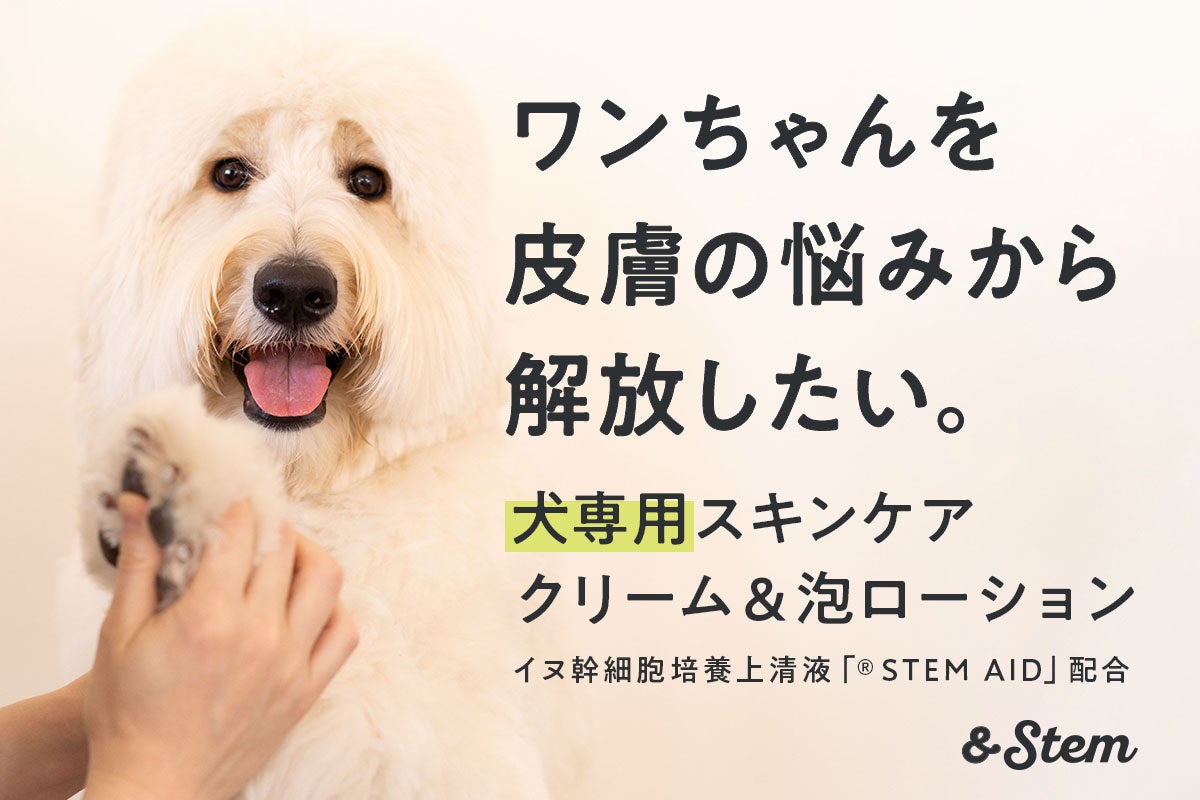 イヌ幹細胞上清液配合「＆Stem」犬専用スキンケアクリーム ＆ 泡ローション　クラウドファンディングCAMPFIREにてプロジェクト展開のサブ画像1