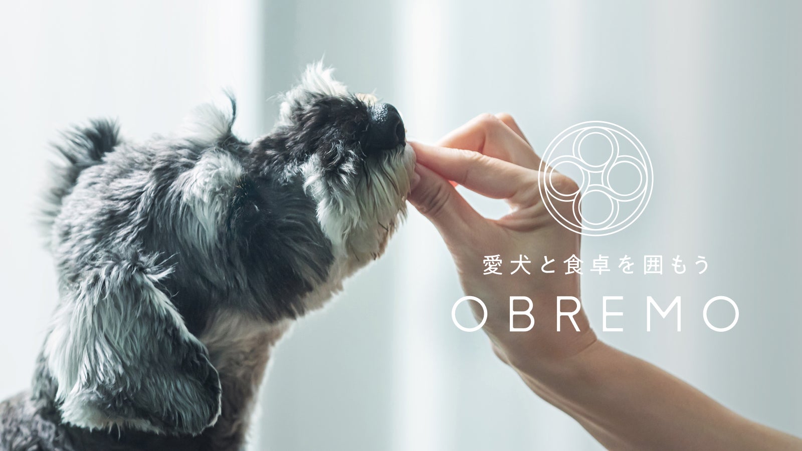 ドッグフードブランド「Obremo（オブレモ）」をブランドリニューアル！「OBREMO（オブレモ）」に生まれ変わり、高品質の国産ドッグフードで安心感をお届けのサブ画像1