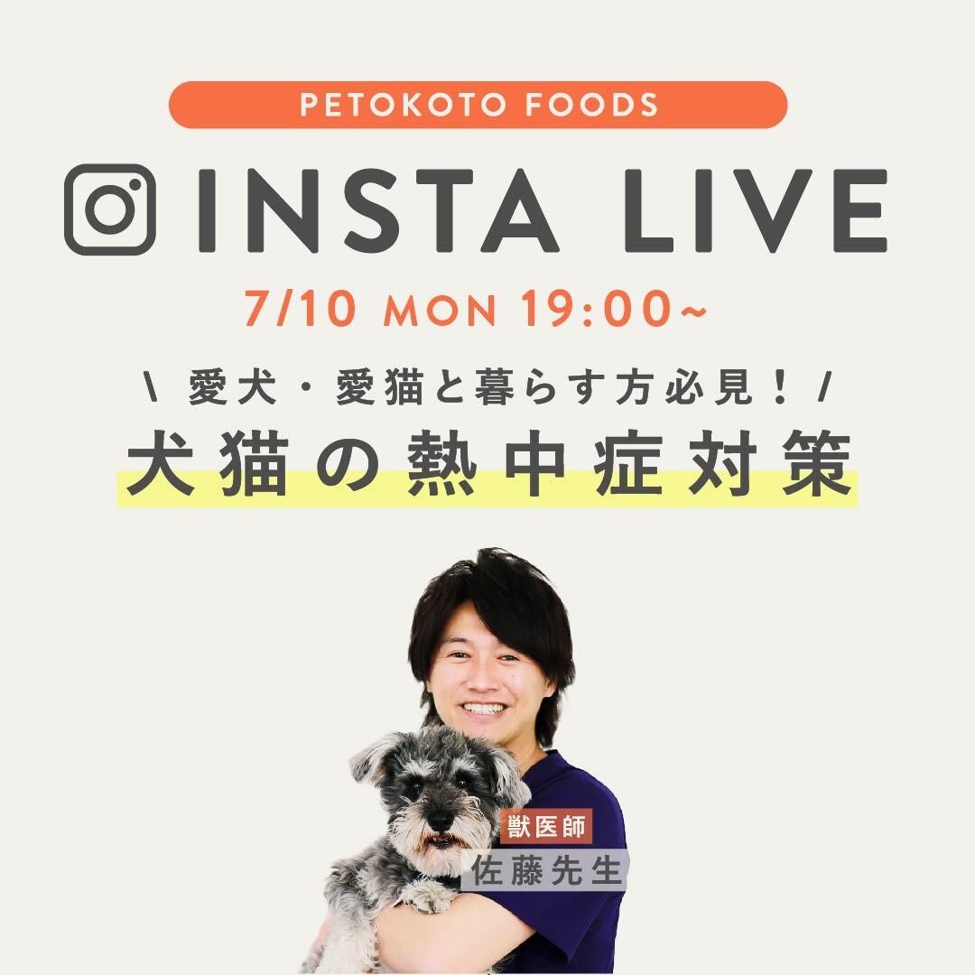 ＼先着184名様限定／暑い夏は冷やしペットフードで！ペトコトフーズ100円でお試しキャンペーンを7月10日から開始（8月6日まで）のサブ画像5