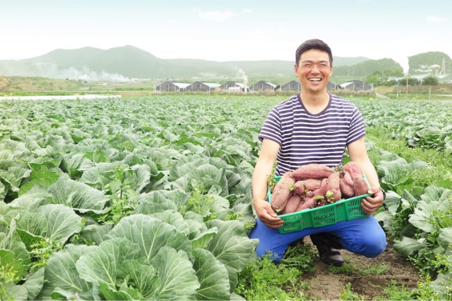 ＼先着184名様限定／暑い夏は冷やしペットフードで！ペトコトフーズ100円でお試しキャンペーンを7月10日から開始（8月6日まで）のサブ画像7