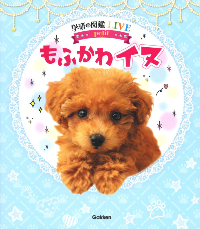 【全イヌ好きさん必見！】犬種ごとの性格や、イヌのきもちがわかる！　かわいいワンちゃん大集合のイヌ図鑑が登場のメイン画像