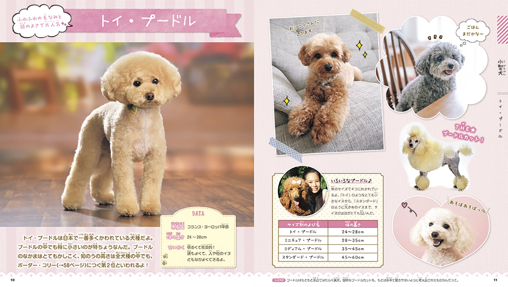 【全イヌ好きさん必見！】犬種ごとの性格や、イヌのきもちがわかる！　かわいいワンちゃん大集合のイヌ図鑑が登場のサブ画像2