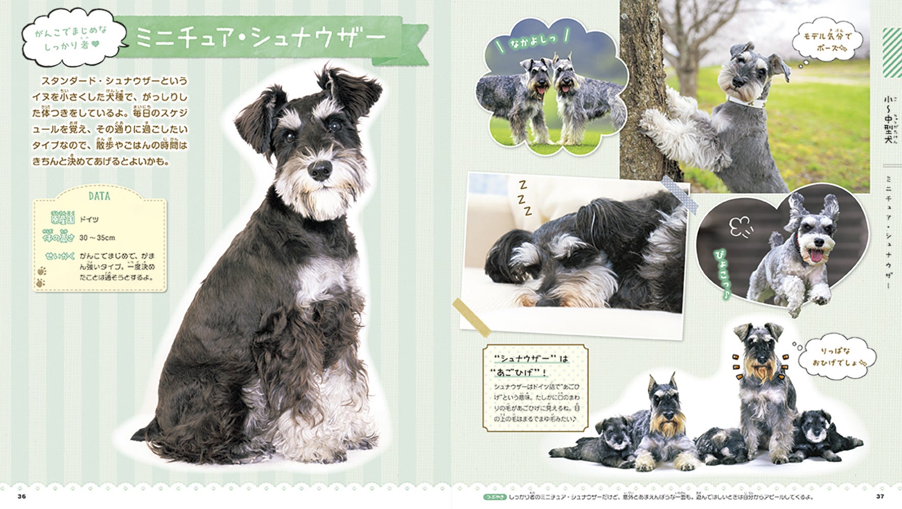 【全イヌ好きさん必見！】犬種ごとの性格や、イヌのきもちがわかる！　かわいいワンちゃん大集合のイヌ図鑑が登場のサブ画像3_▲犬種ごとの紹介ページには、楽しいコラムも掲載。好きなワンちゃんが増えるかも♪