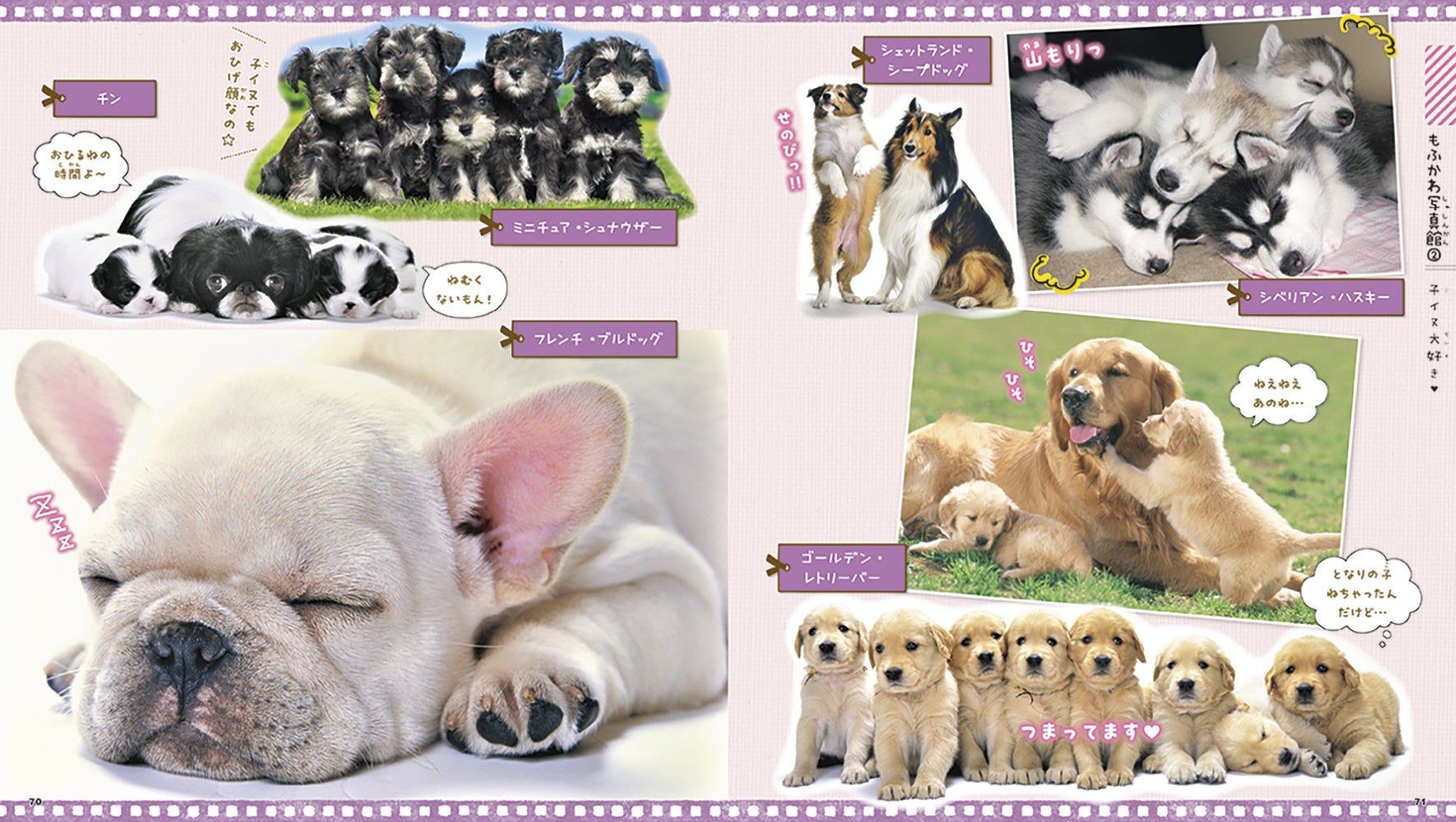 【全イヌ好きさん必見！】犬種ごとの性格や、イヌのきもちがわかる！　かわいいワンちゃん大集合のイヌ図鑑が登場のサブ画像4_▲いろいろなポーズのもふかわ写真は、眺めるだけで癒されます。