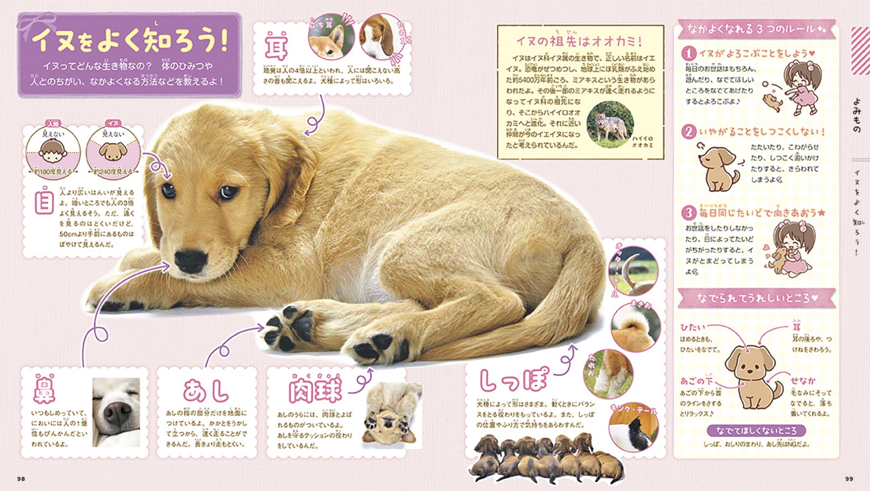 【全イヌ好きさん必見！】犬種ごとの性格や、イヌのきもちがわかる！　かわいいワンちゃん大集合のイヌ図鑑が登場のサブ画像5