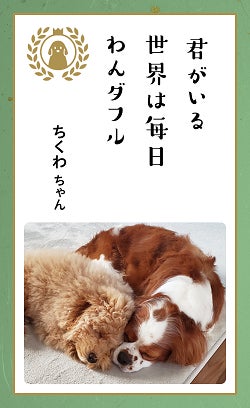 第八回「どうぶつ川柳」募集開始！のサブ画像2
