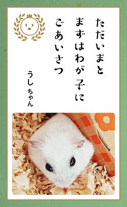 第八回「どうぶつ川柳」募集開始！のサブ画像3