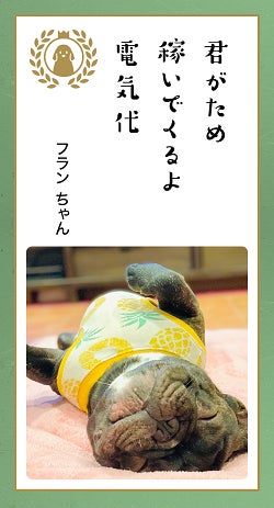 第八回「どうぶつ川柳」募集開始！のサブ画像6