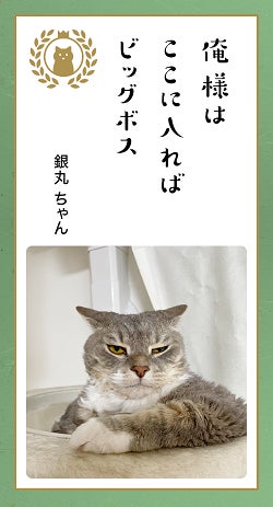 第八回「どうぶつ川柳」募集開始！のサブ画像7