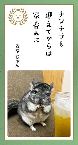 第八回「どうぶつ川柳」募集開始！のサブ画像8_▲第七回「どうぶつ川柳」の「優秀賞」に輝いた作品たち