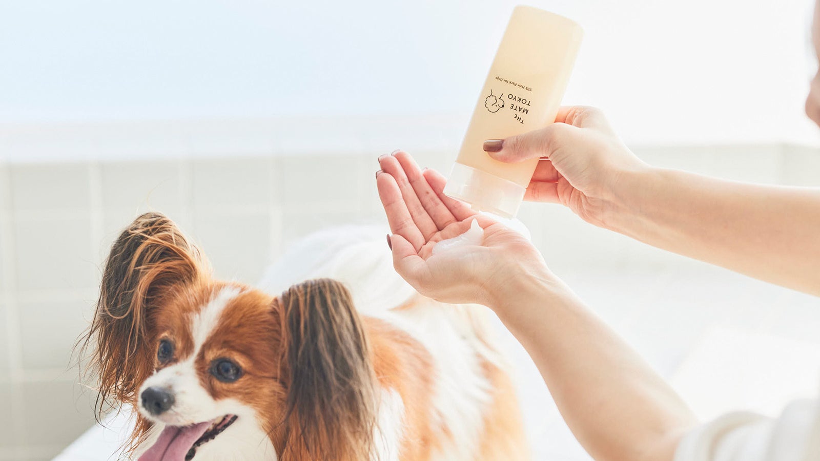 【The Mate Tokyo】ロングコート犬にもオススメ！“サラつや”トリートメント「シルクヘアパック」が7/27新発売！のサブ画像1