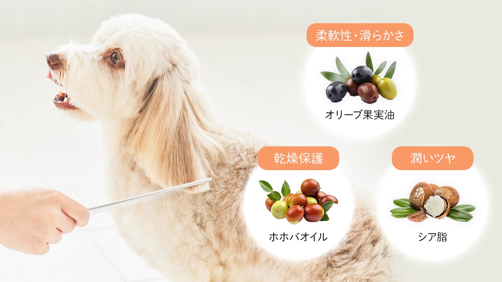 【The Mate Tokyo】ロングコート犬にもオススメ！“サラつや”トリートメント「シルクヘアパック」が7/27新発売！のサブ画像2