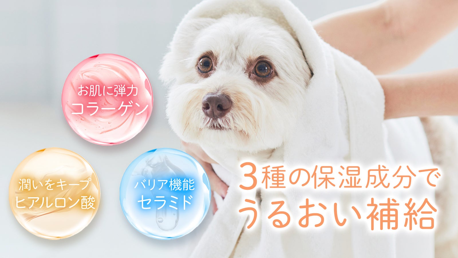 【The Mate Tokyo】ロングコート犬にもオススメ！“サラつや”トリートメント「シルクヘアパック」が7/27新発売！のサブ画像3