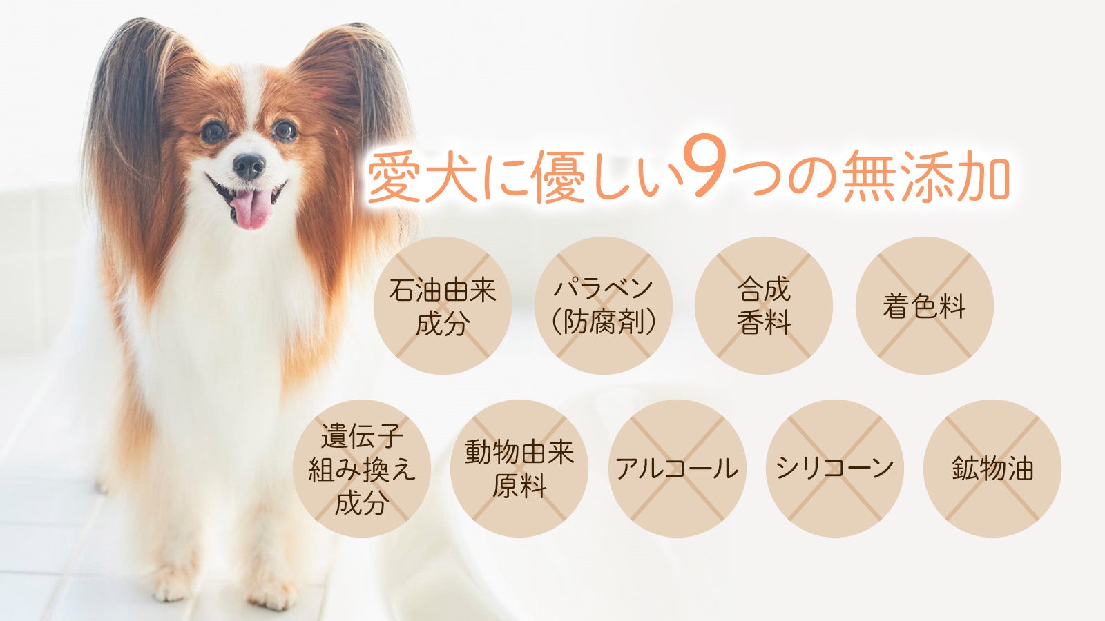 【The Mate Tokyo】ロングコート犬にもオススメ！“サラつや”トリートメント「シルクヘアパック」が7/27新発売！のサブ画像6