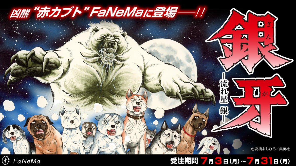 漫画『銀牙 -流れ星 銀-』より凶熊“赤カブト”がFaNeMaで初のぬいぐるみ化！のサブ画像1