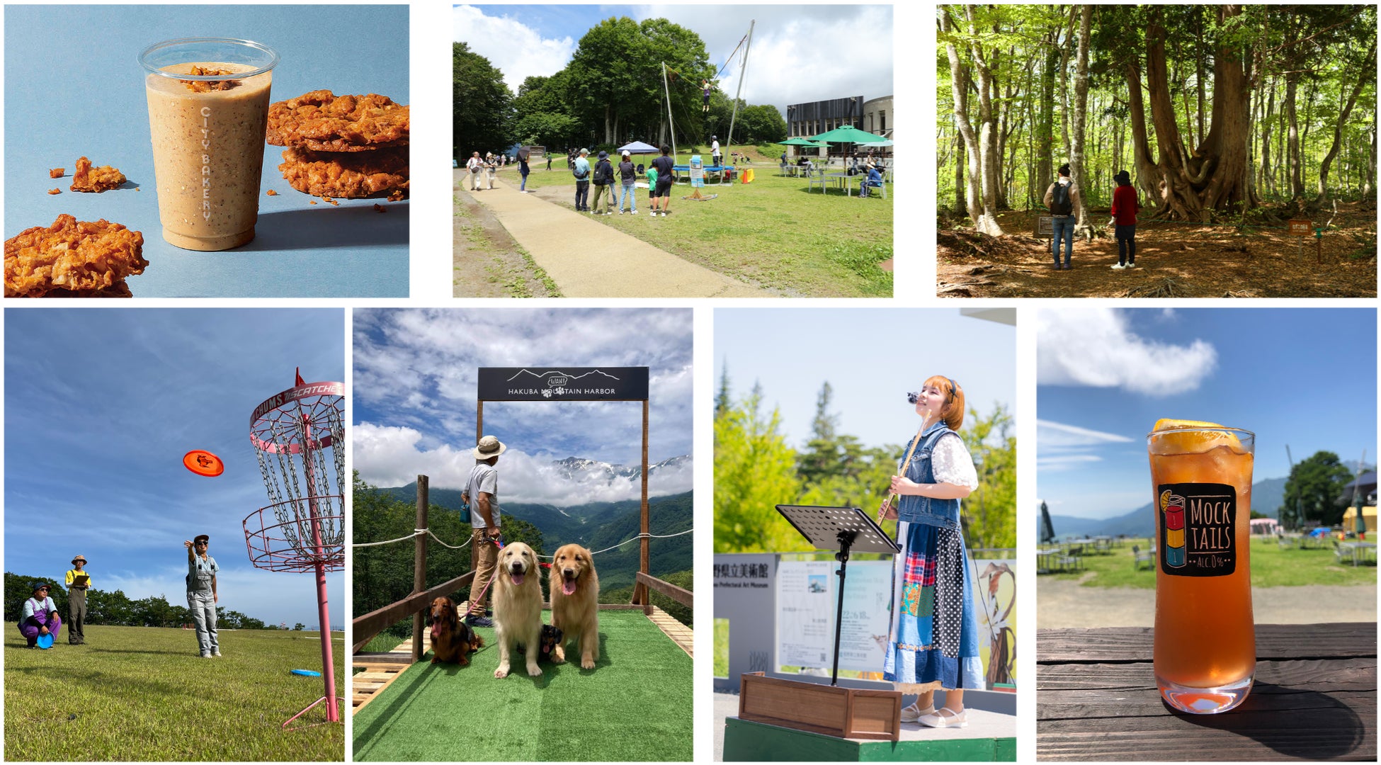 絶景の夏山「白馬岩岳マウンテンリゾート」をさらに楽しむ期間限定グルメやイベント、各種アクティビティを7月15⽇（土）より提供開始のサブ画像1