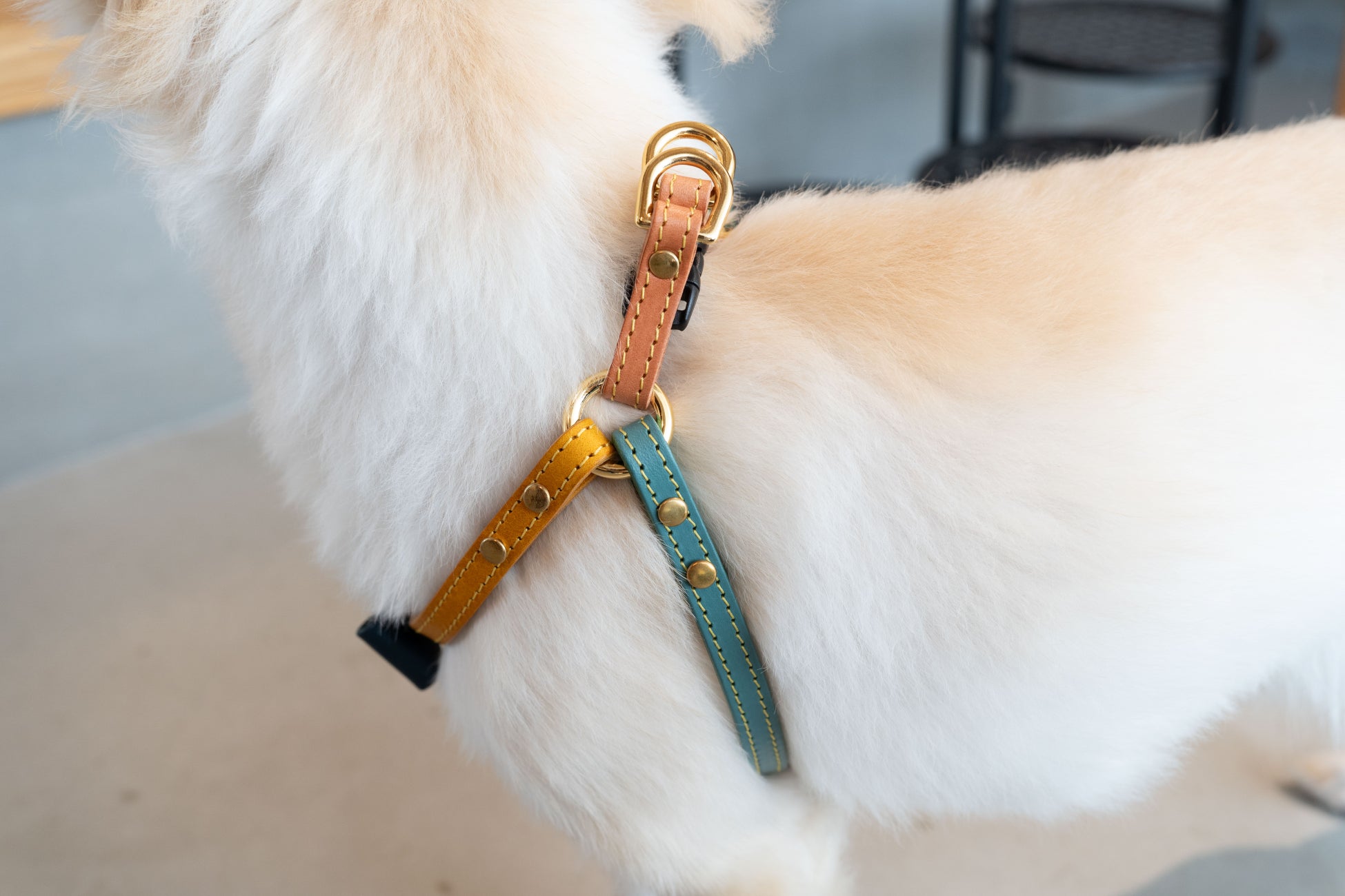 Calinのハーネスとリード - 小型犬のための最上級品質、ヨーロッパの最高級革使用のサブ画像2
